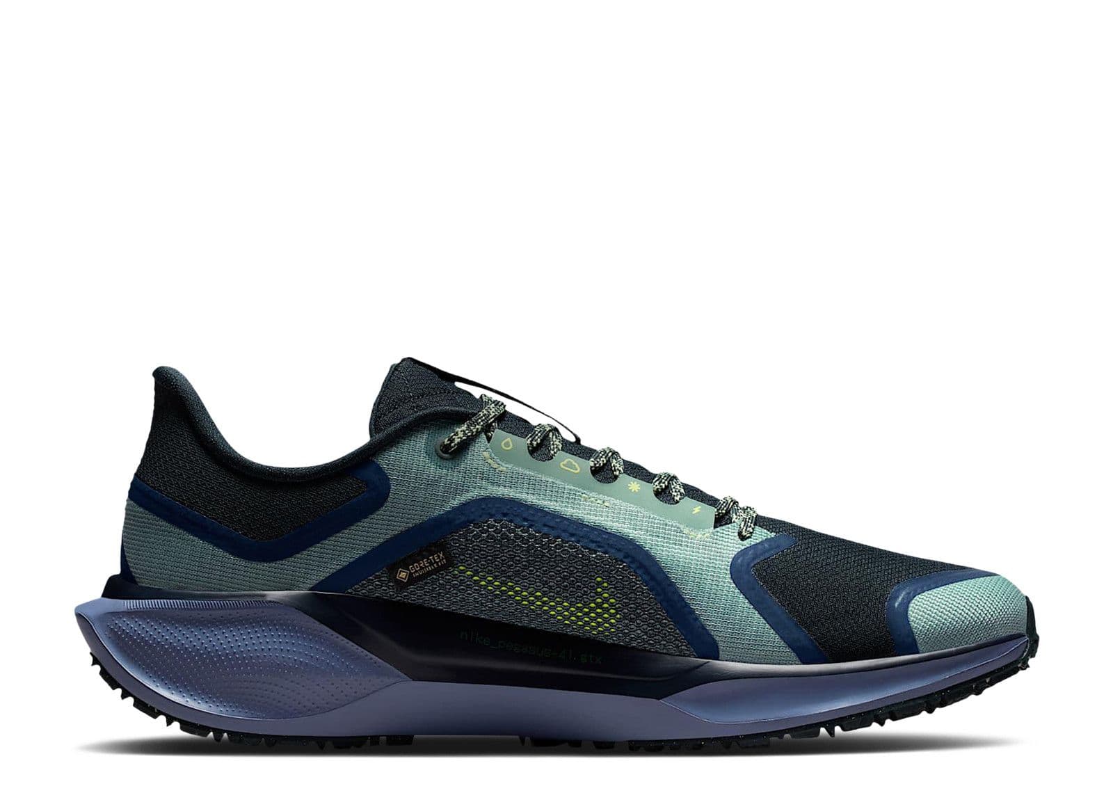 Air Zoom Pegasus 41 GORE-TEX 'Cannon Obsidian'