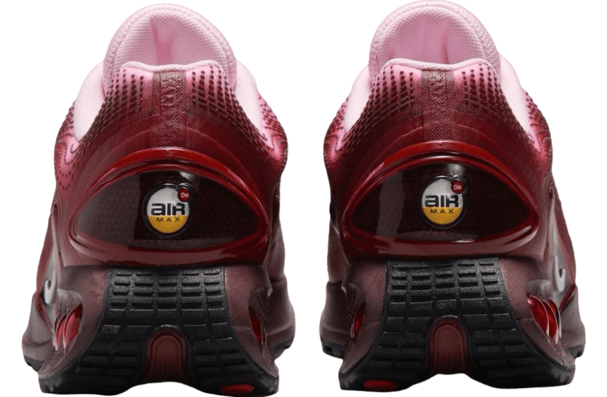 Air Max DN 'Burgundy Crush'
