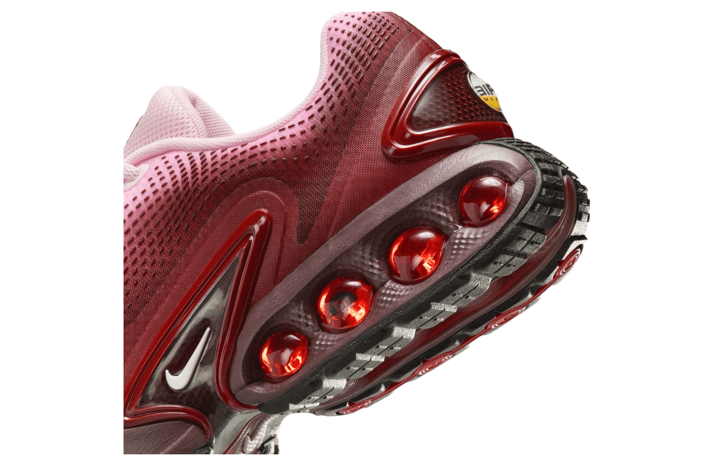 Air Max DN 'Burgundy Crush'