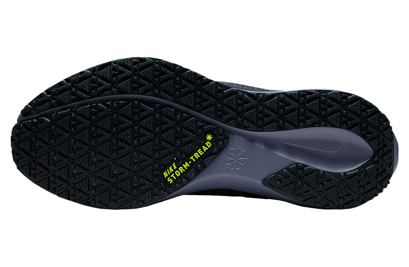 Air Zoom Pegasus 41 GORE-TEX 'Cannon Obsidian'