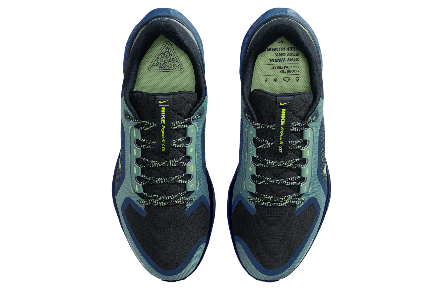 Air Zoom Pegasus 41 GORE-TEX 'Cannon Obsidian'