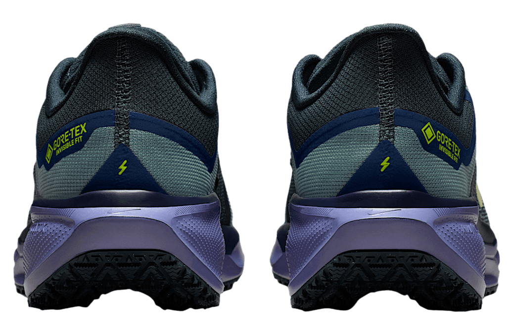 Air Zoom Pegasus 41 GORE-TEX 'Cannon Obsidian'