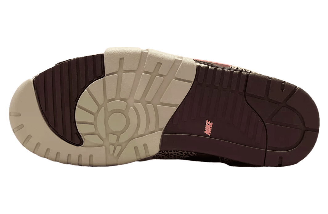Arts-Rec x Air Trainer 1 SB 'For Recreational Use'