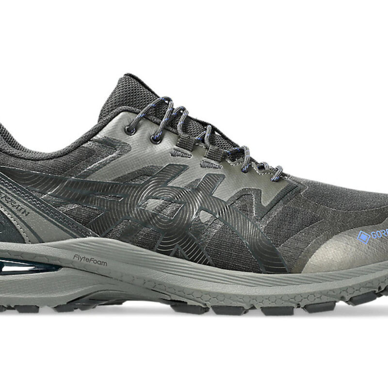 ASICS Gel-Terrain Gore-Tex Graphite Grey Gunmetal