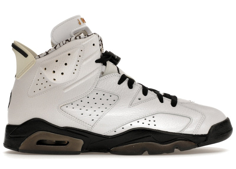 Jordan 6 Retro Motorsport