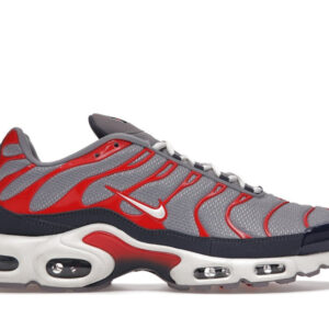 Nike Air Max Plus USA Grey