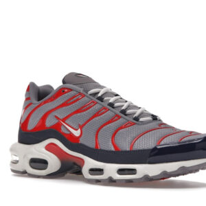 Nike Air Max Plus USA Grey - Image 5