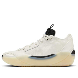 Jordan 39 No Alteration - Image 2