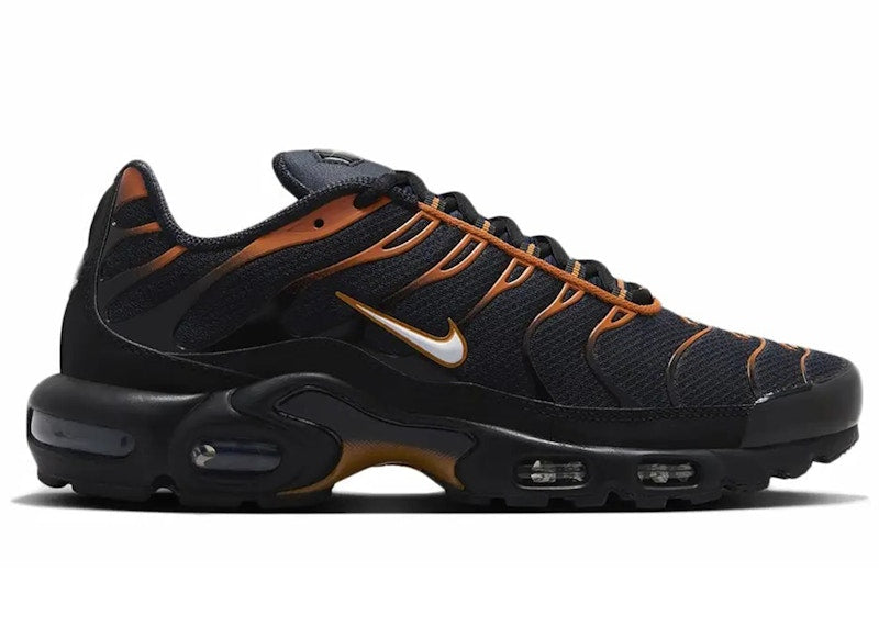 Nike Air Max Plus Dark Obsidian Monarch