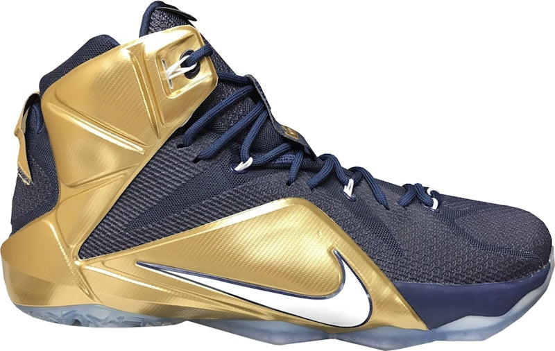 Nike LeBron 12 Akron PE