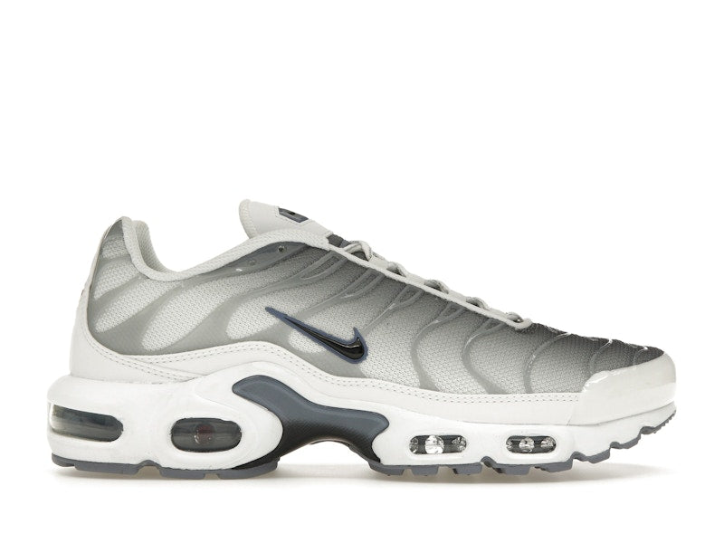 Nike Air Max Plus Smoke Grey Ashen Slate (Women's)