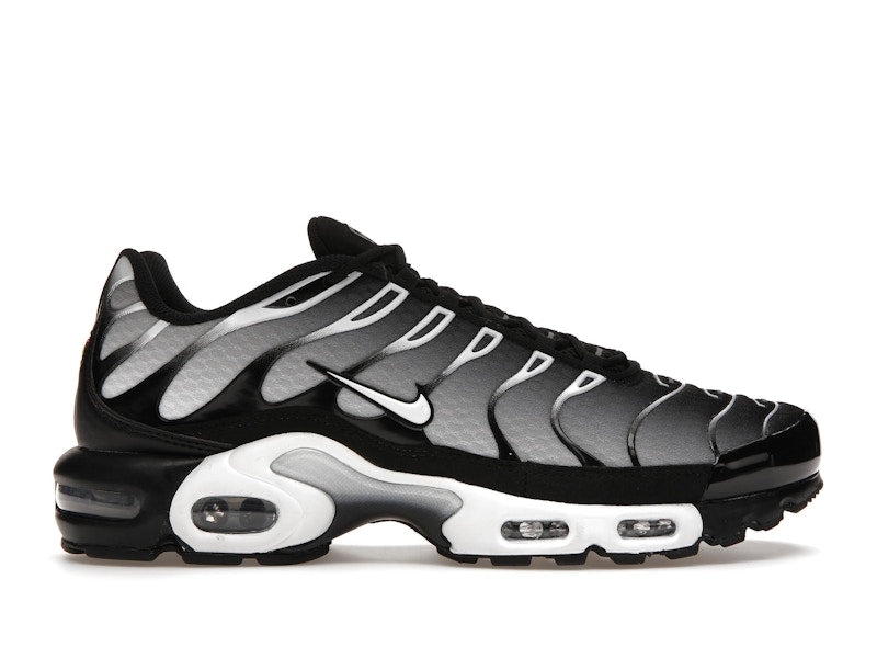 Nike Air Max Plus Black Silver White