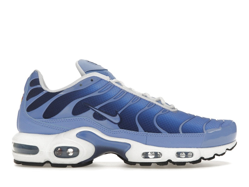Nike Air Max Plus Royal Pulse